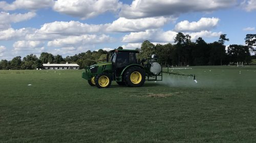 Pasture Management Pasture Management