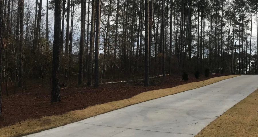 underbrush and mulching after