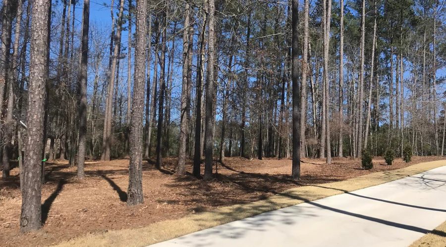 Abney Land Services View Our Land Services and Site Prep Work